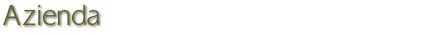 AZIENDA