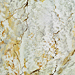 Esempio decorazione